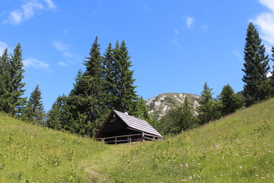 Les prés bucoliques des Karavankes (Slovénie)