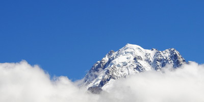 Sa Majesté La Verte