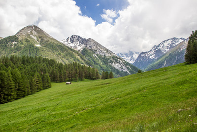 la verdure