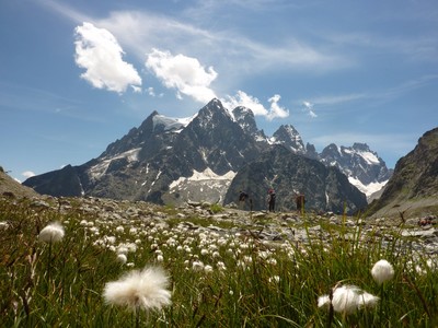 Le Pelvoux sur le retour du glacier Blanc