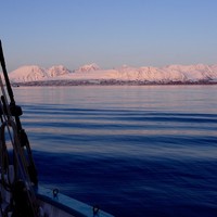 Ski-voile dans les Alpes de Lyngen.