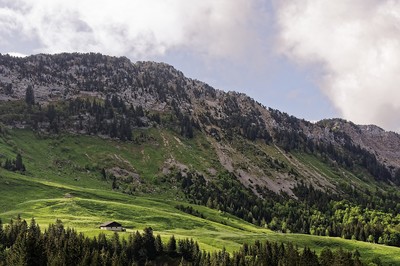 Vivre libre ou mourir