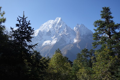 Phungi Himal (6538m), végétal contre minéral, en descendant de Larkya La,  Nepal