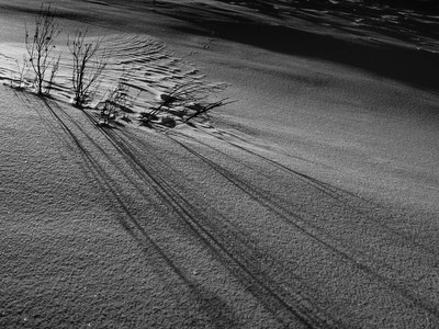 Lignes