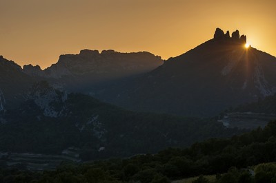 Cache-cache aux Dentelles de Montmirail