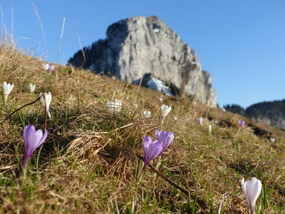 quand le printemps arrive