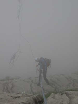 Dans le brouillard