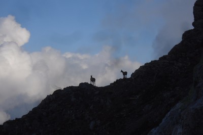 Les Gardiens du Mont de Grange