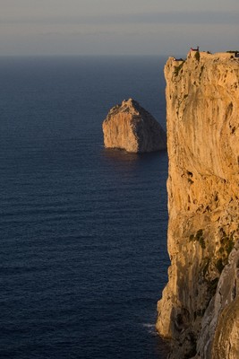 Un petit point vert