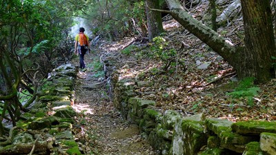 Marche de retour dans le Caroux