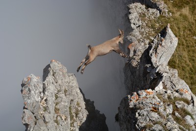 le grand saut !