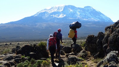 Kilimanjaro - Voie Lemosho