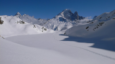 Paradis blanc