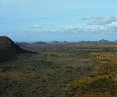 Rando/exploration du dimanche dans la brousse du Kenya