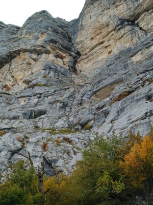 La voie du bas