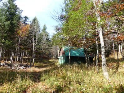 La cabane forestière du Pison La cabane forestière du Pison