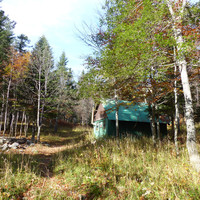 La cabane forestière du Pison