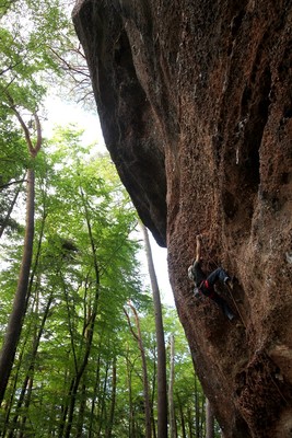 Falaise du Krappenfels Lutzelbourg