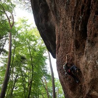 Falaise du Krappenfels Lutzelbourg