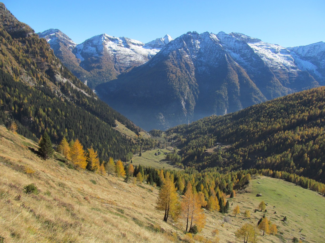 conca dell'alpe Vova - Camptocamp.org