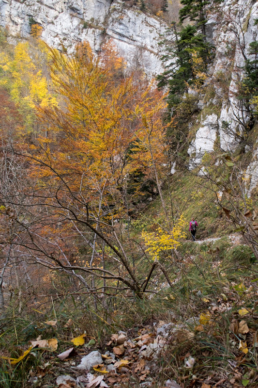 Descente vers la Roize