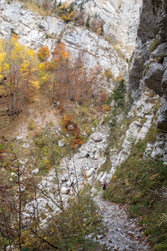 Descente vers la Roize