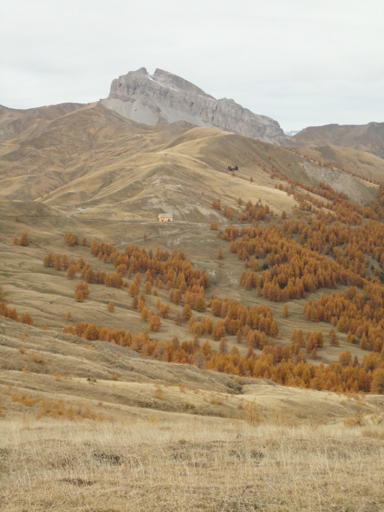Col d'Allos. Grande Séolane à l'arrière-plan