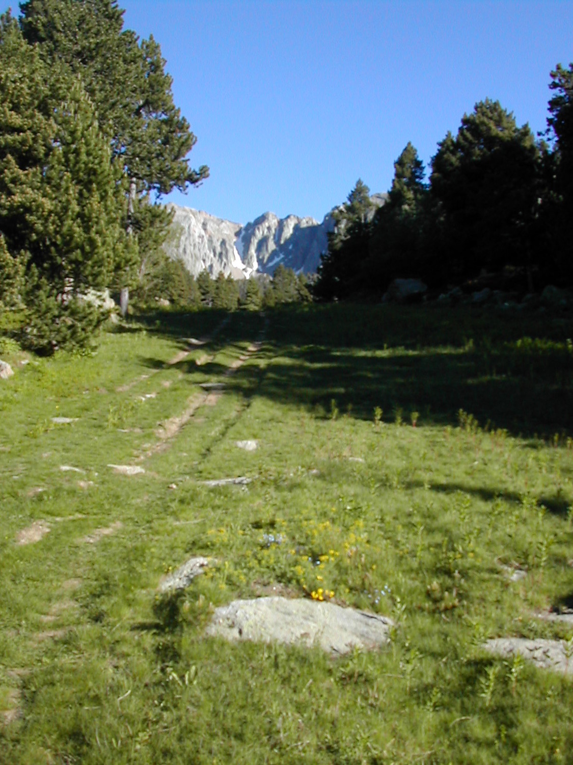 desente par une piste après le Pla du Cambre
