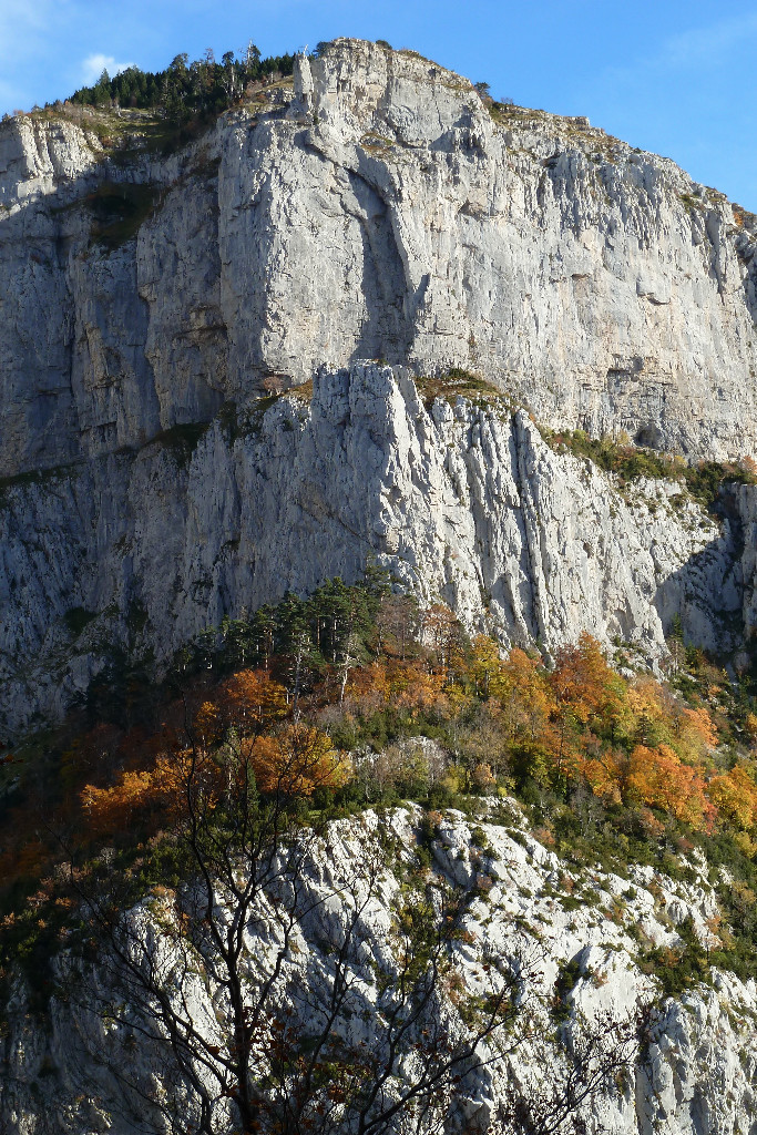 Piton del Italiano