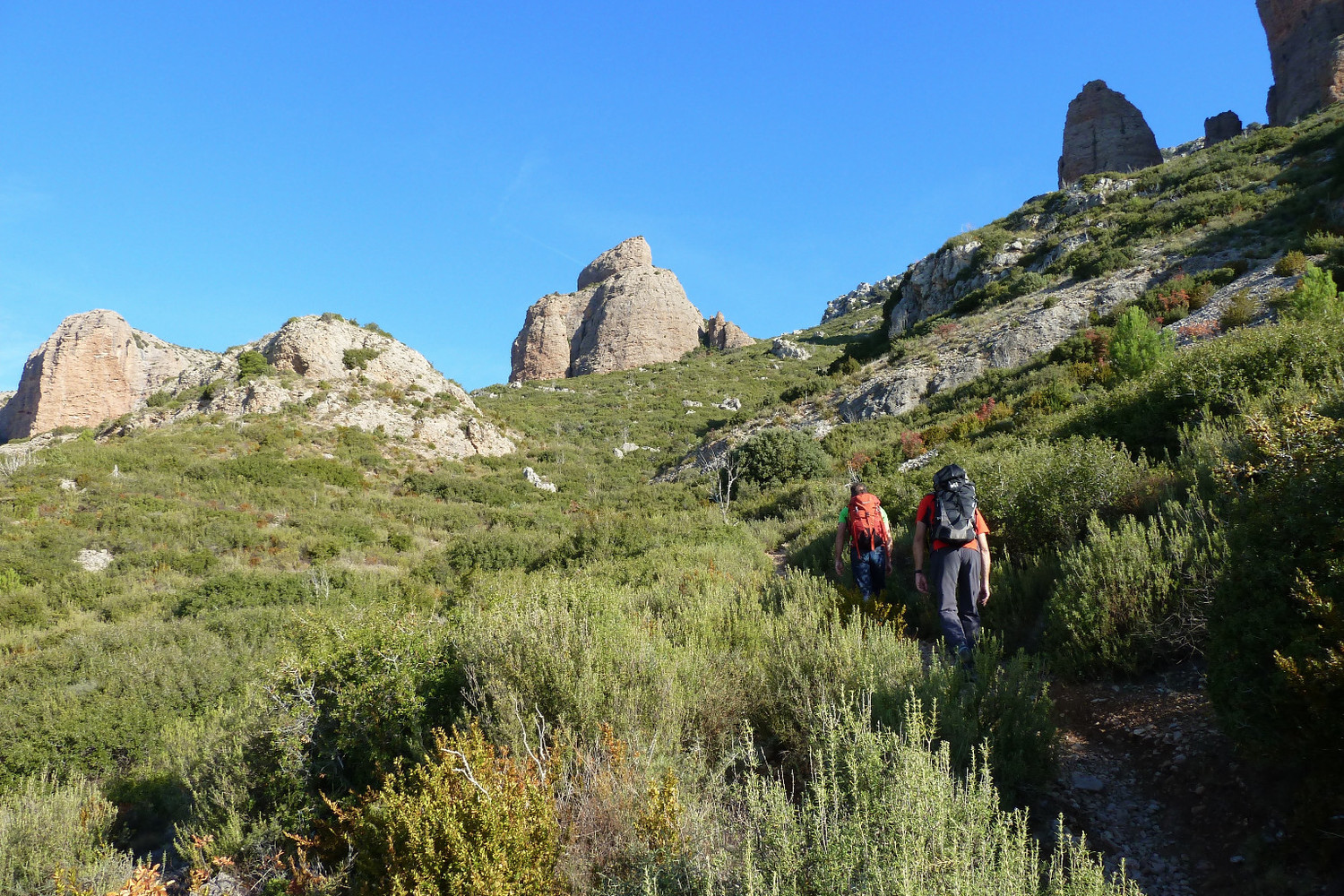 El Colorado al fondo