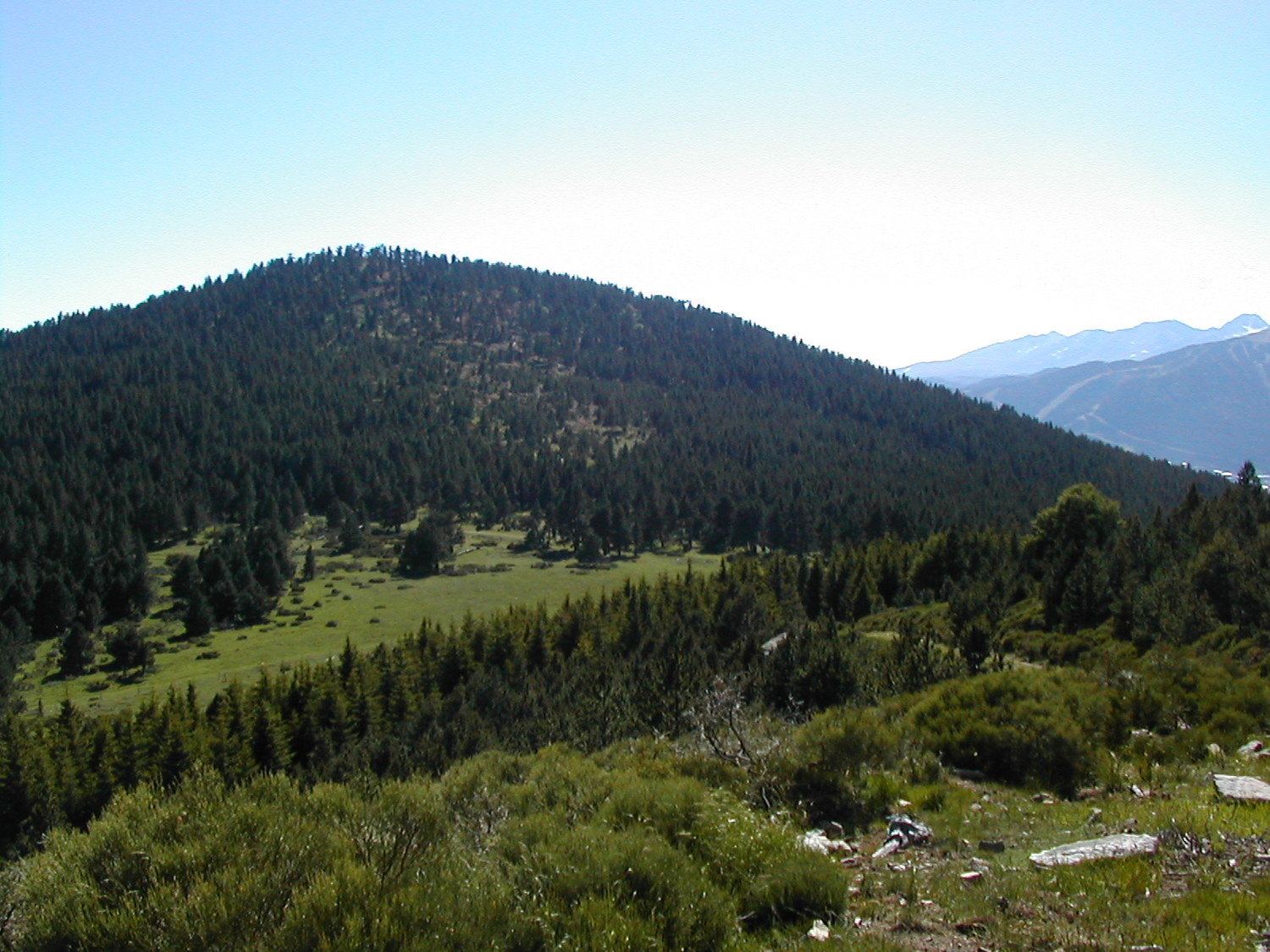 Col del Torn