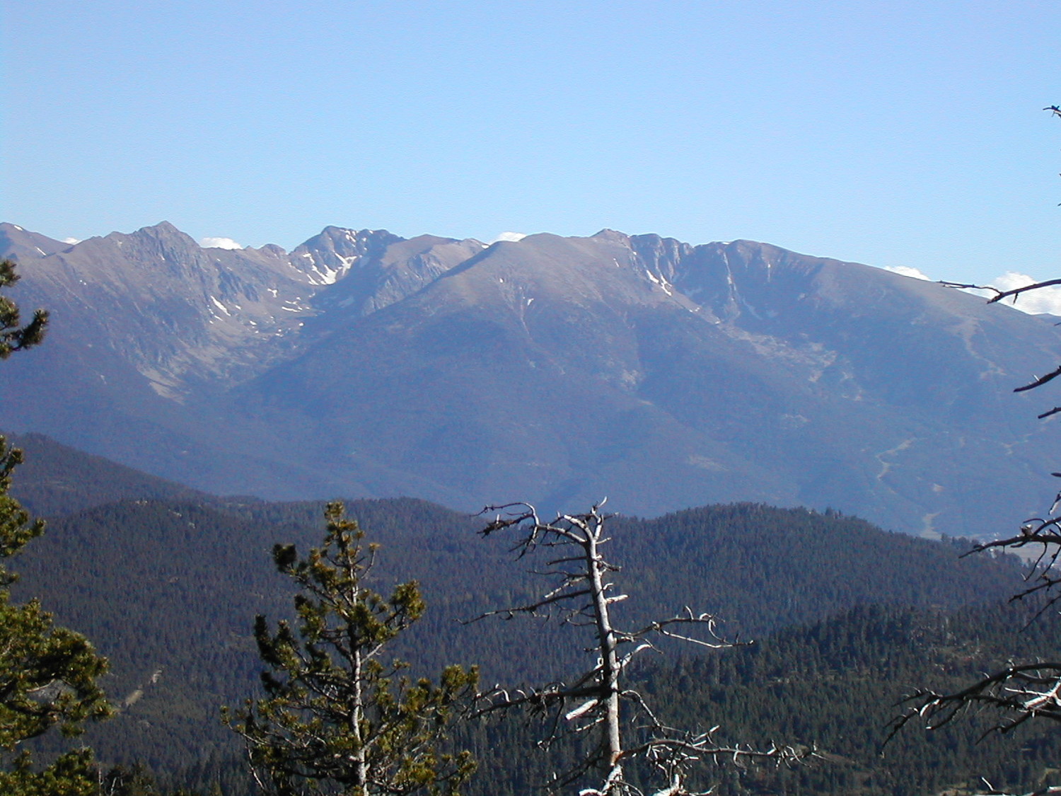 Un point de vue entre les arbres sur le cambre d'ase