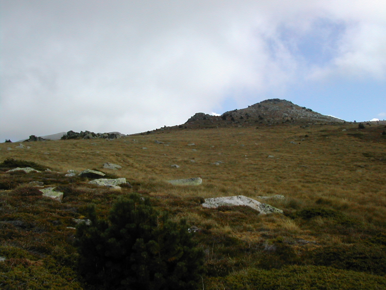 Plateau sommital sous le sommet
