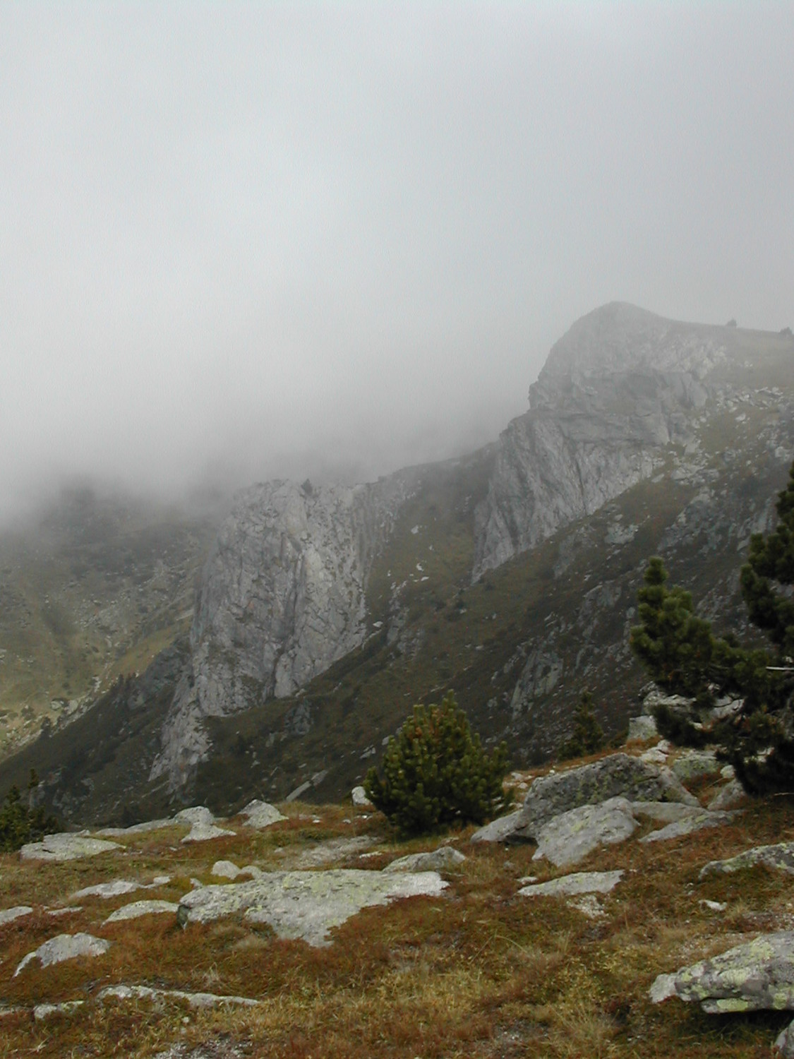 Vallon des Nou Fonts