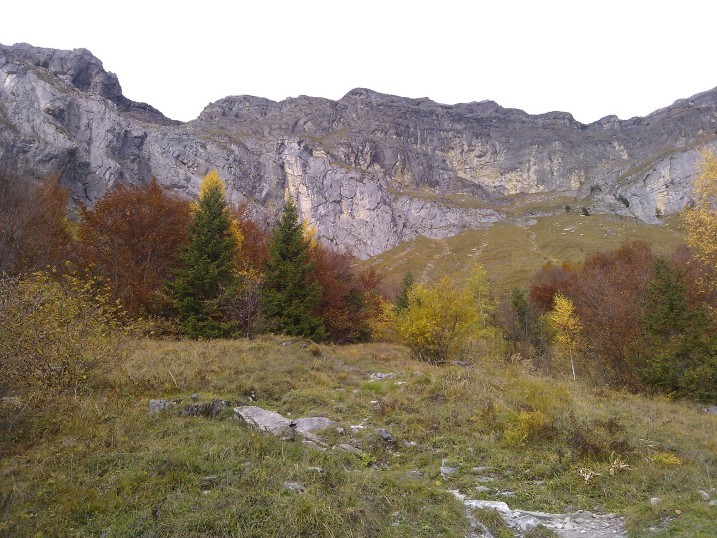 Retour dans l'alpage de Charbonnière