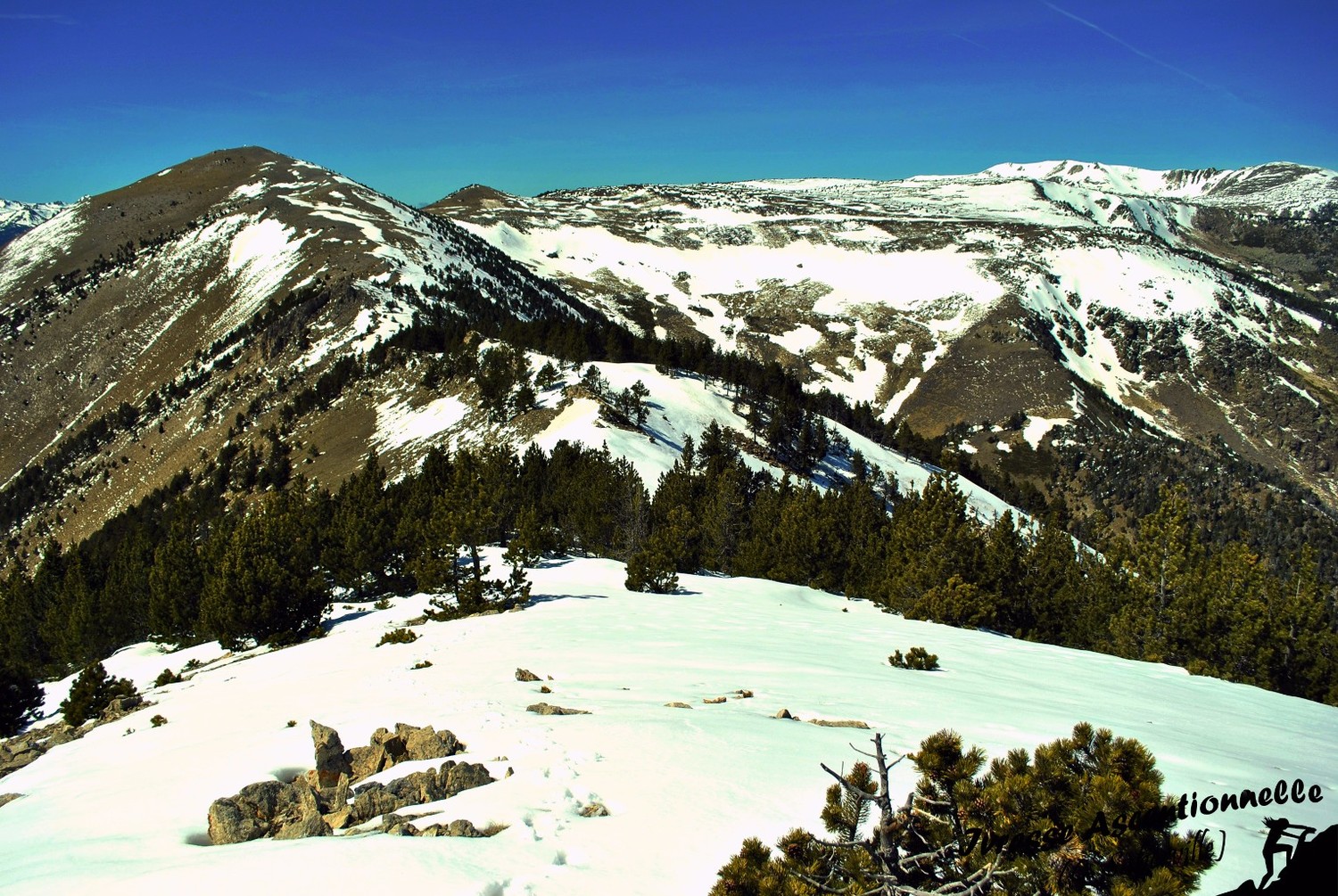 Montée au Puig d'Escoutou, Pelade au fond à gauche