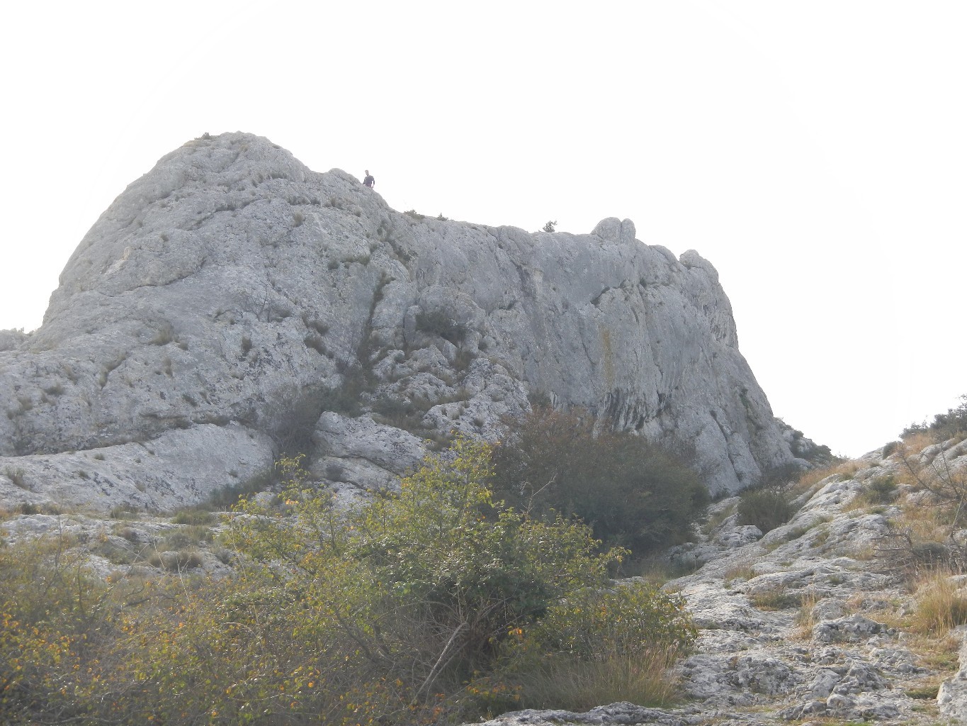 Le Paradou