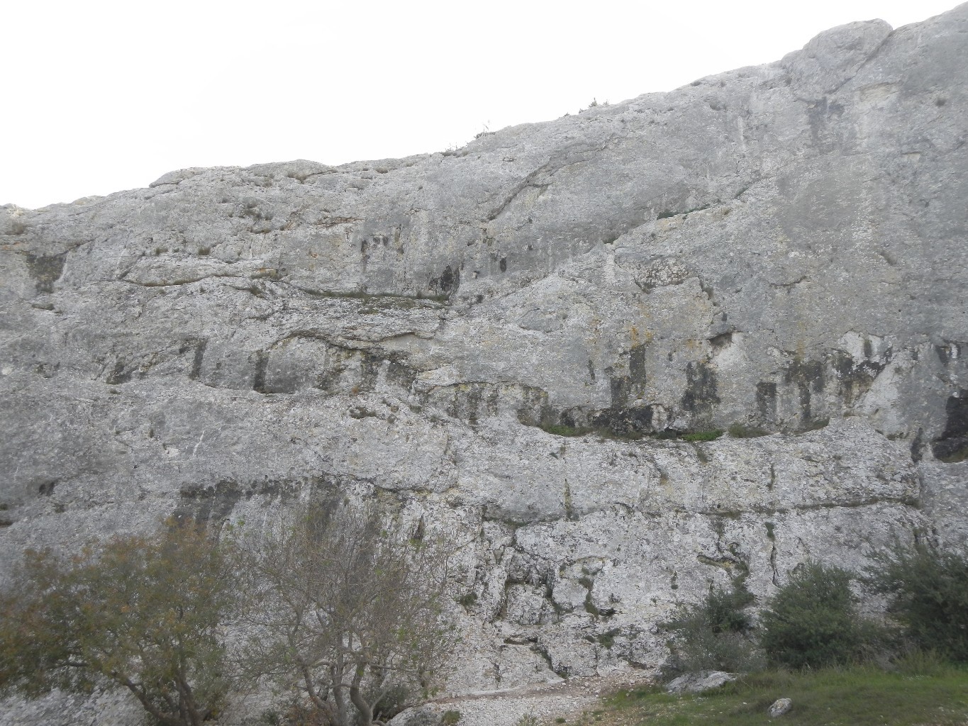 Paradou, Face N centre