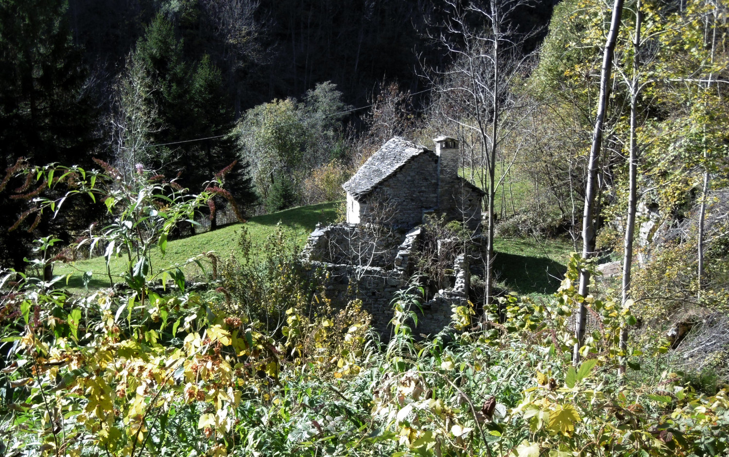 Dans la montée à vélo entre Varzo et San Domenico