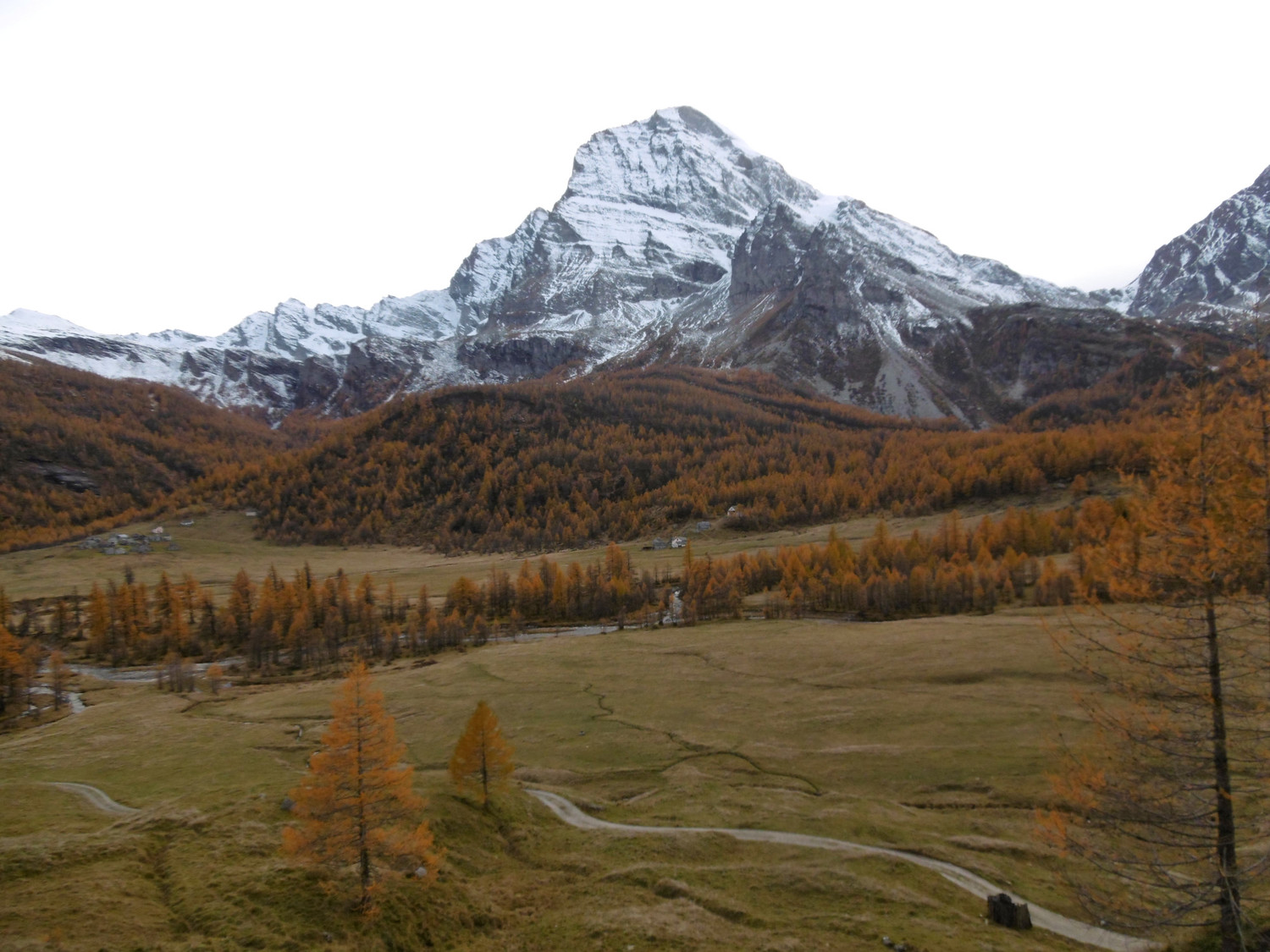 Alpe Veglia et Monte Leone