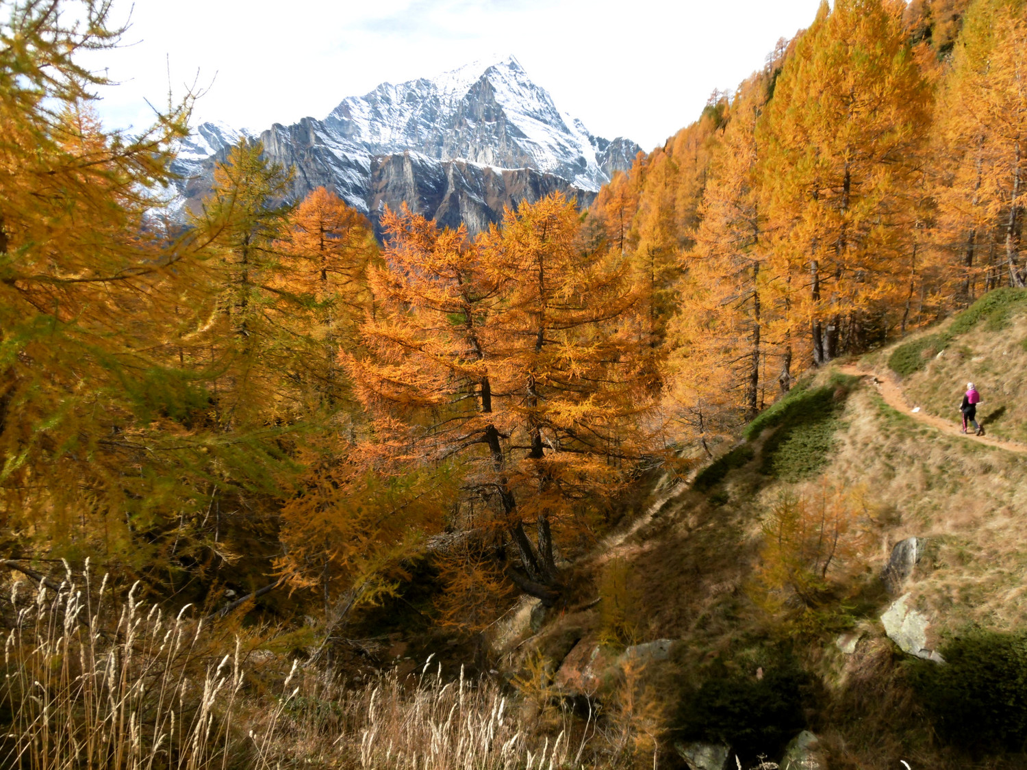 Traversée Alpe Ciamporino - Alpe Veglia