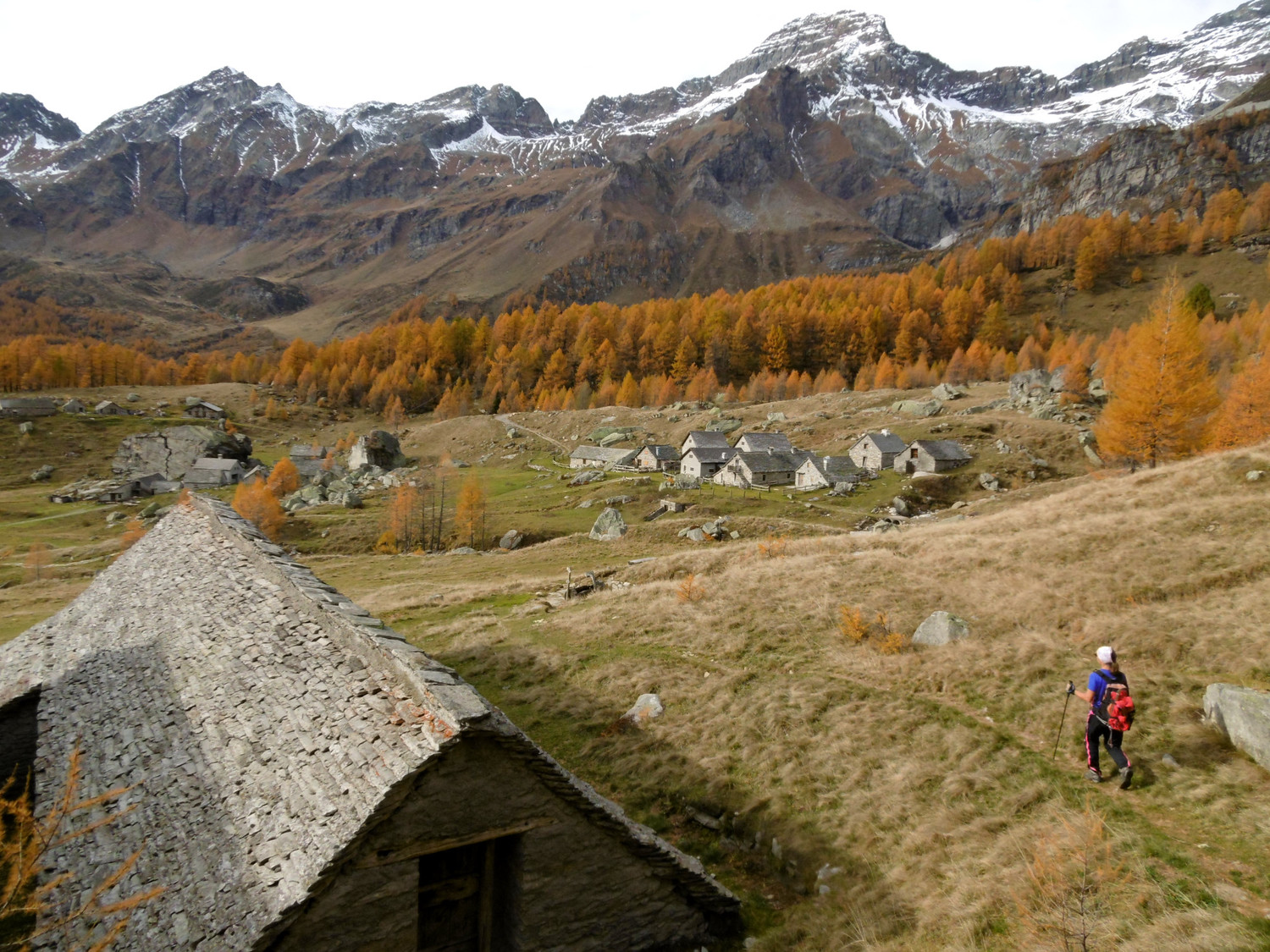 De retour à l'Alpe Veglia