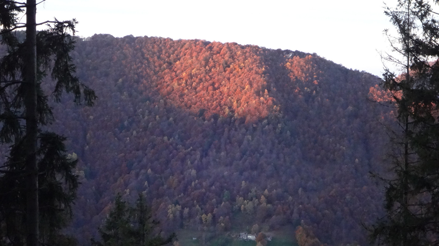 primo sole