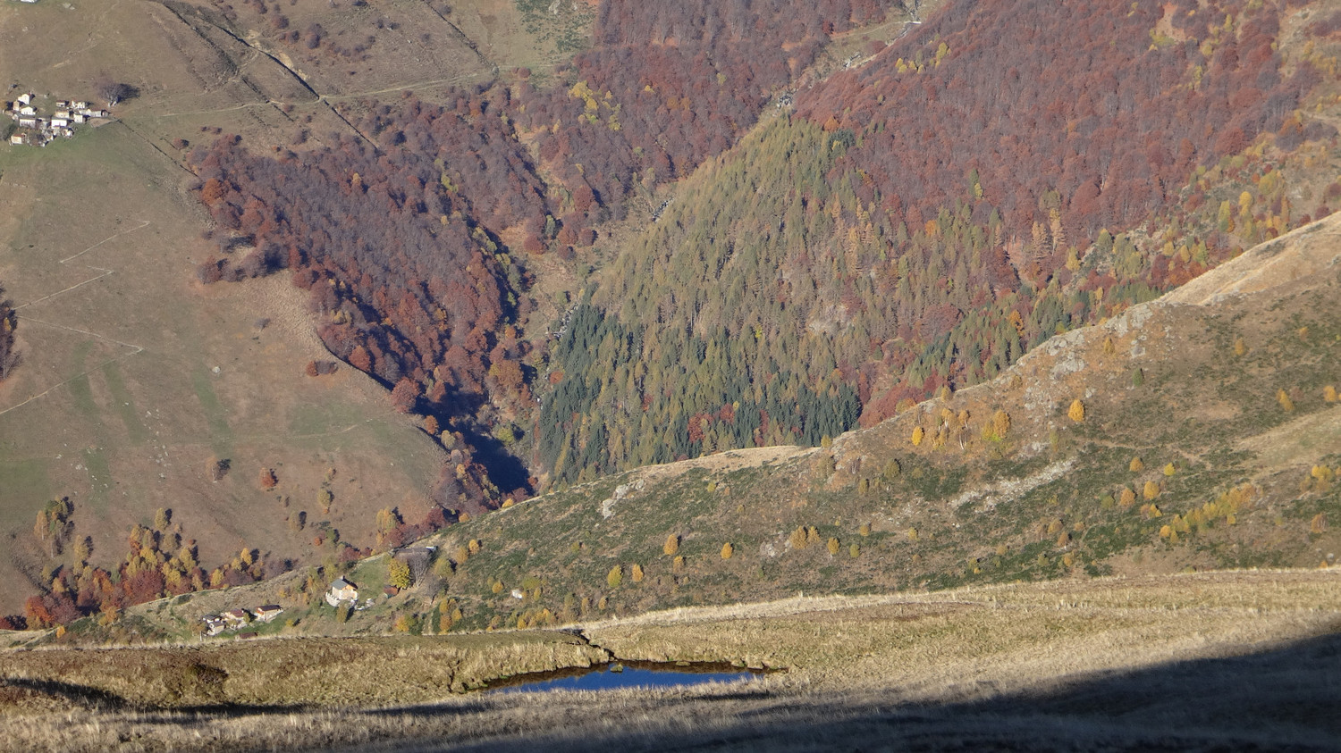 ancora stupendi colori