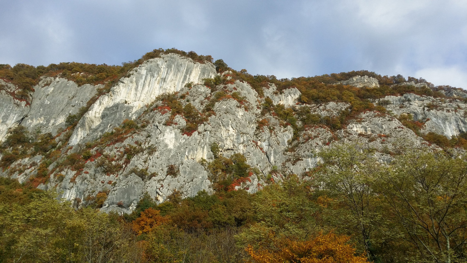 La falaise vue du bas