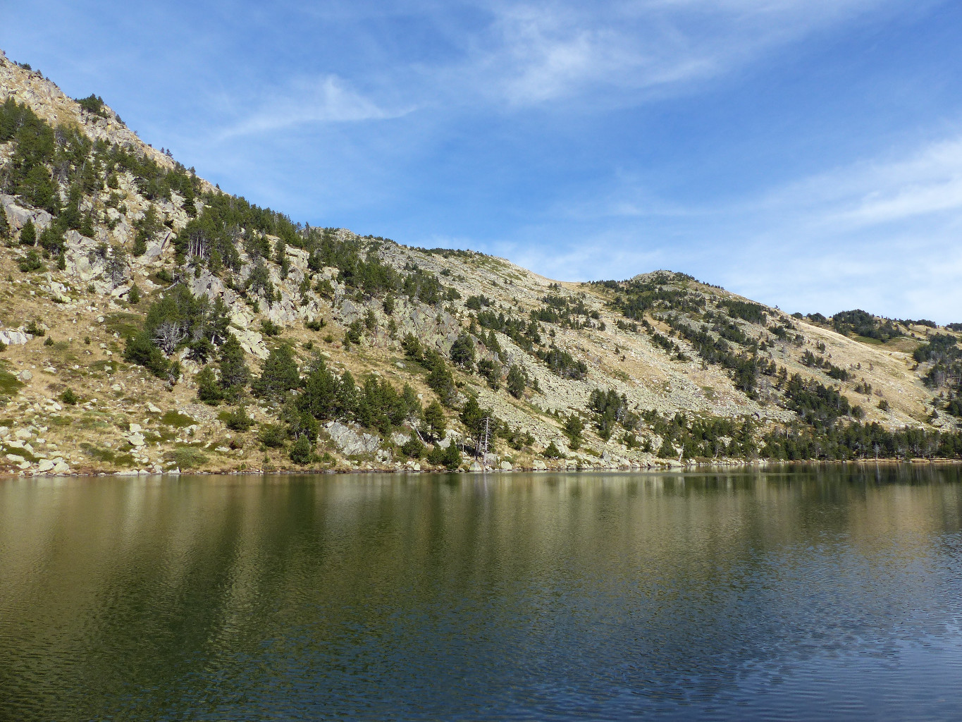 Rive N du Gorg Estelat (Lac de Nohèdes)