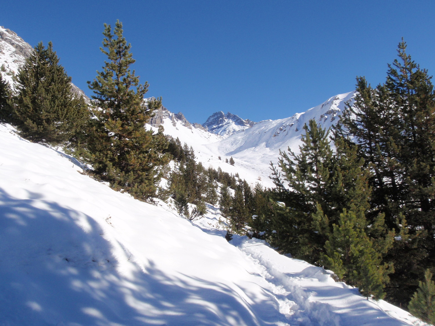 sentier du Lac Soulier,au fond le Rochebrune.