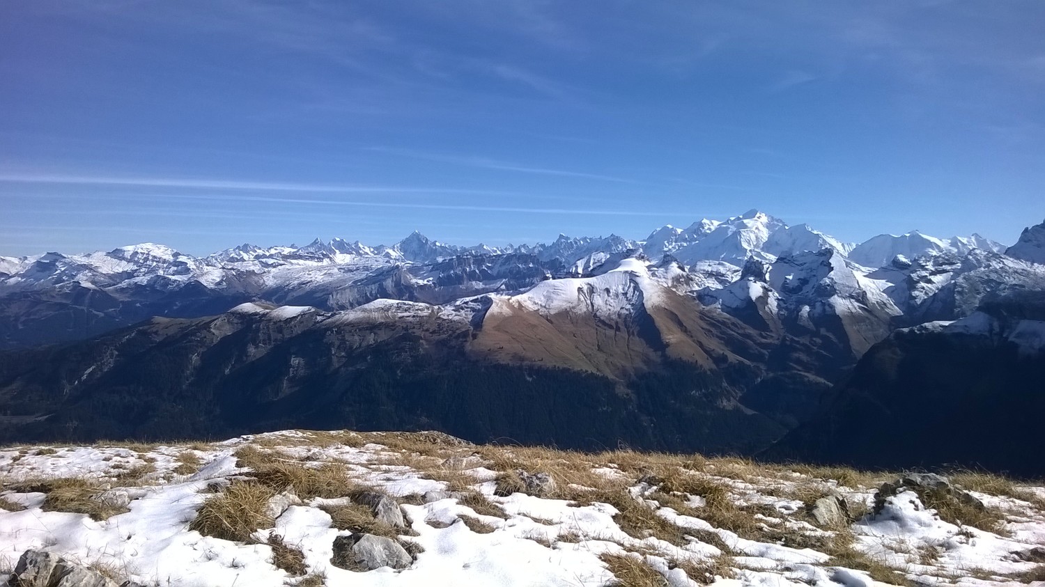 Vue depuis le sommet de la Tour.