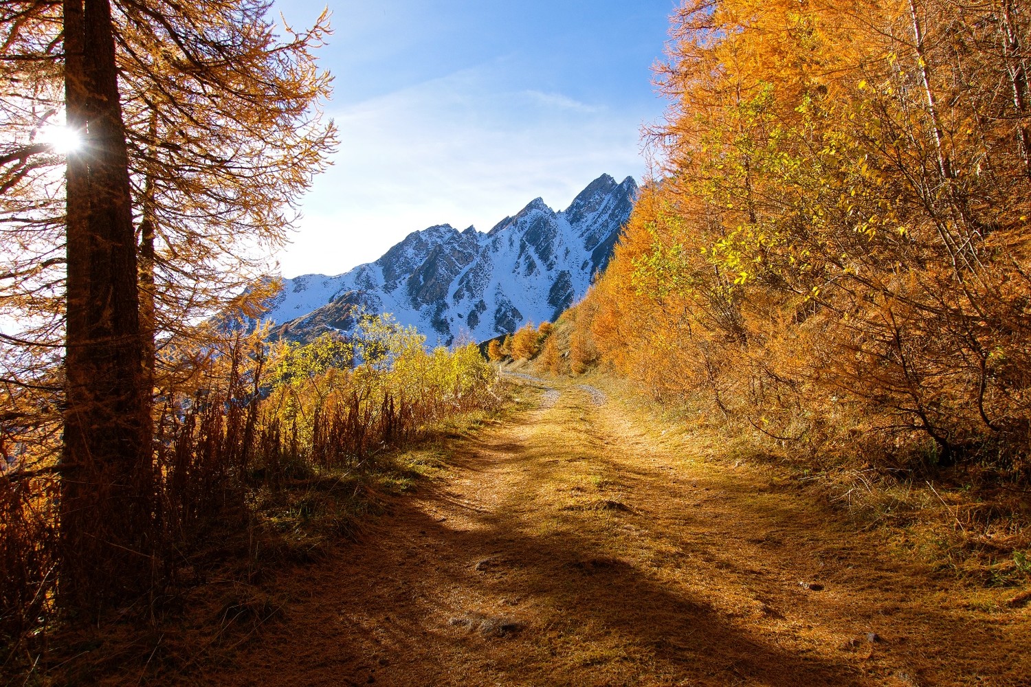 Pas de tapis rouge, ni vert, mais celui là est naturel