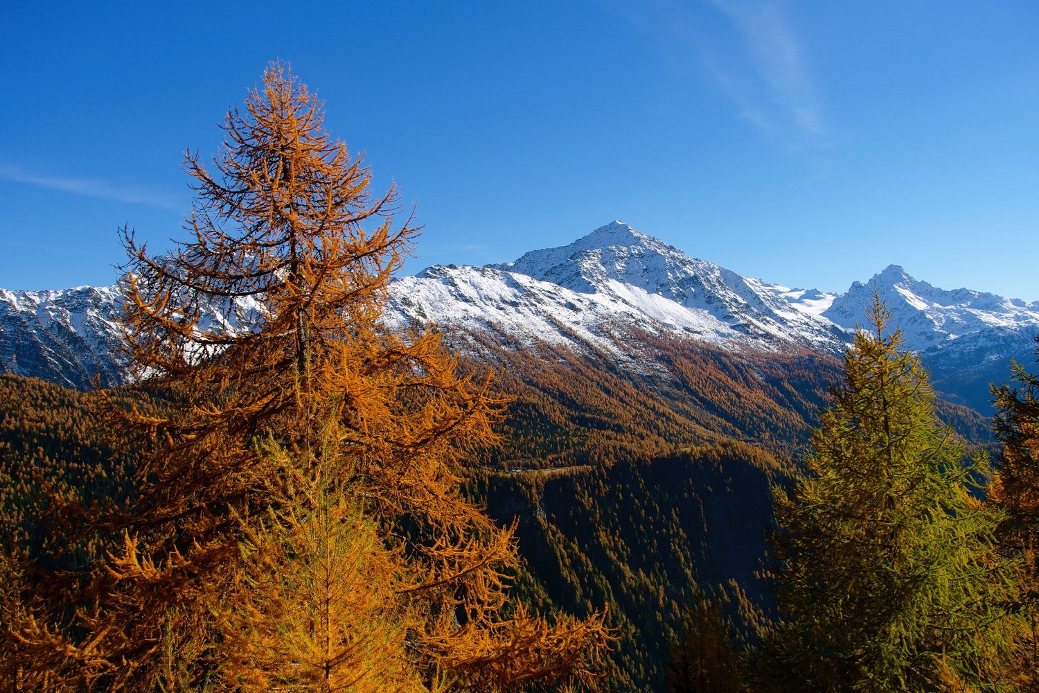 Pointe de la Croix et mont Cormet
